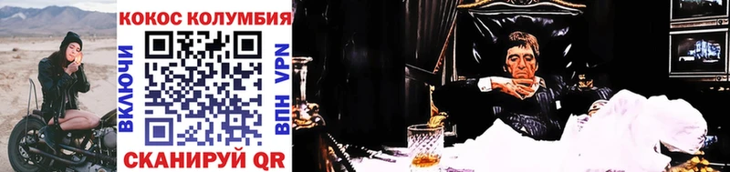 COCAIN Fish Scale  хочу   мега маркетплейс  Киселёвск 
