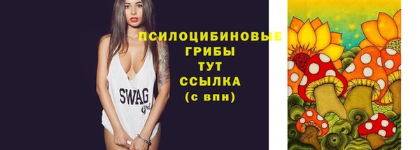 молекула духа Заполярный