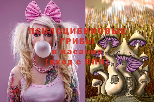 бутират Алексин