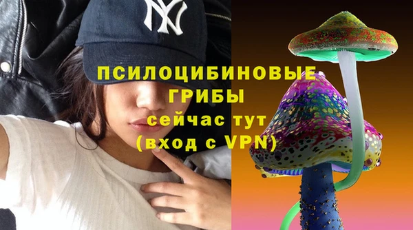 крисы Алексеевка
